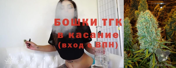 мет Новозыбков