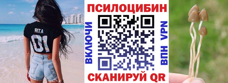 Галлюциногенные грибы GOLDEN TEACHER  Шлиссельбург 
